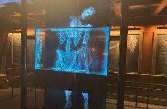 Epic Universe’s Greatest Trip Would possibly Simply Come From the Darkish Universe