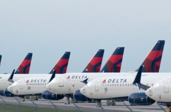 Delta Can Sue CrowdStrike Over Outage That Grounded Hundreds of Flights, Decide Says