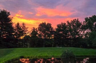 The Little Issues Publication #475 – Life, laughter, and many nice meals!