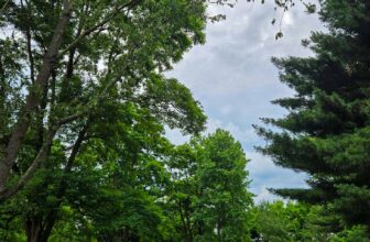 The Little Issues Publication #474 – Life, laughter, and plenty of nice meals!