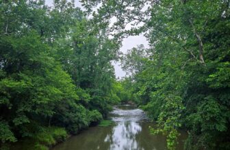 The Little Issues E-newsletter #478 – Life, laughter, a lot of nice meals!