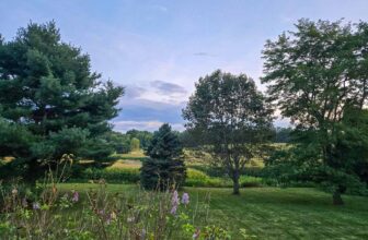 The Little Issues E-newsletter #485 – Life, laughter, and many nice meals!