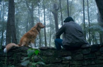 ‘Good Boy’ Brings Its Horrors and Canine Heroics to Shudder Subsequent Week