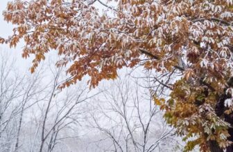 The Little Issues E-newsletter #496 – Life, laughter, and plenty of nice meals!