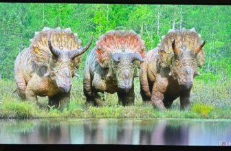 This LG TV is large on vivid colours however lacks particulars at midnight